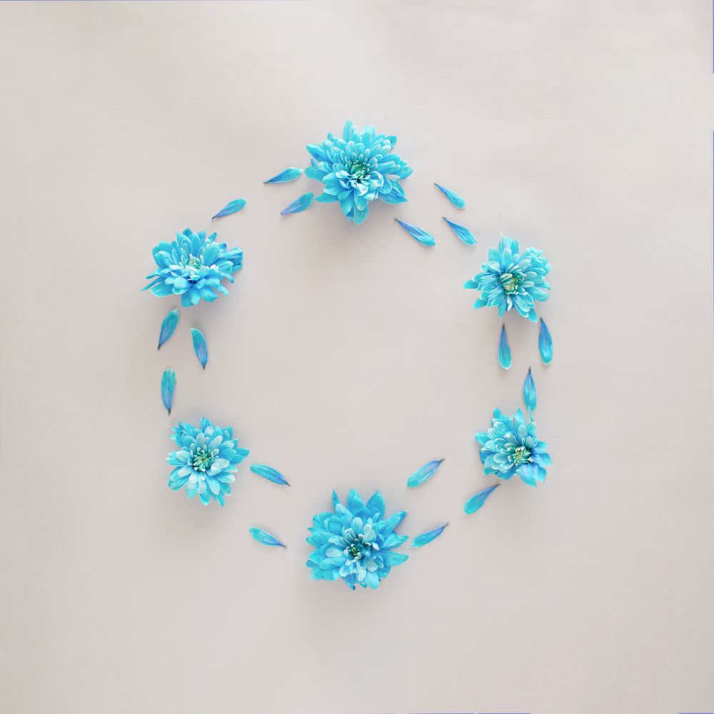 Soft blue flowers making wreath with copy space