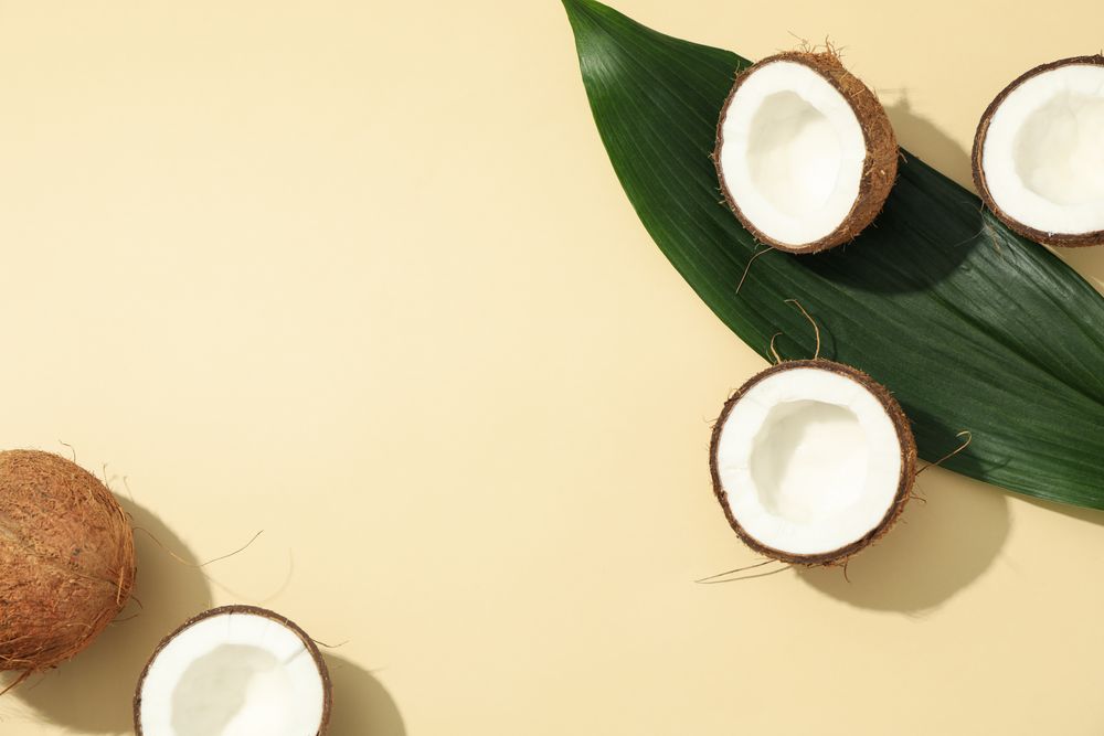 Coconut and leaf on beige background. Tropical fruit