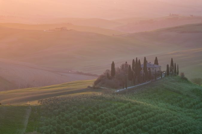 Peaceful green field at sunset