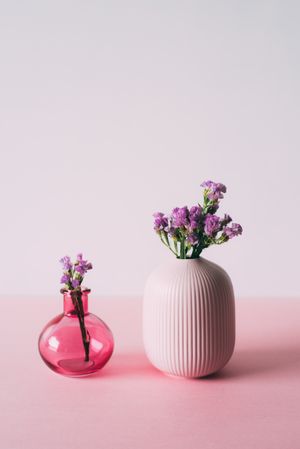 Violet sea lavender flowers in a pink