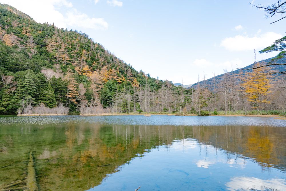 Natural green leaves tree forest with reflection on Myojin pond at Japanese alps Kamikochi Nagano.