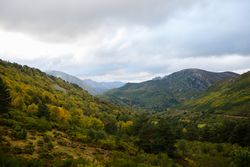 Picturesque landscape of mountain valley with trees around