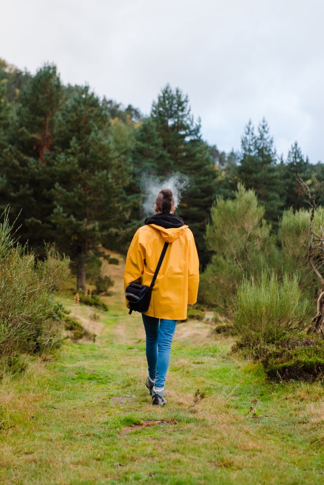 Person in yellow raincoat walking in forest