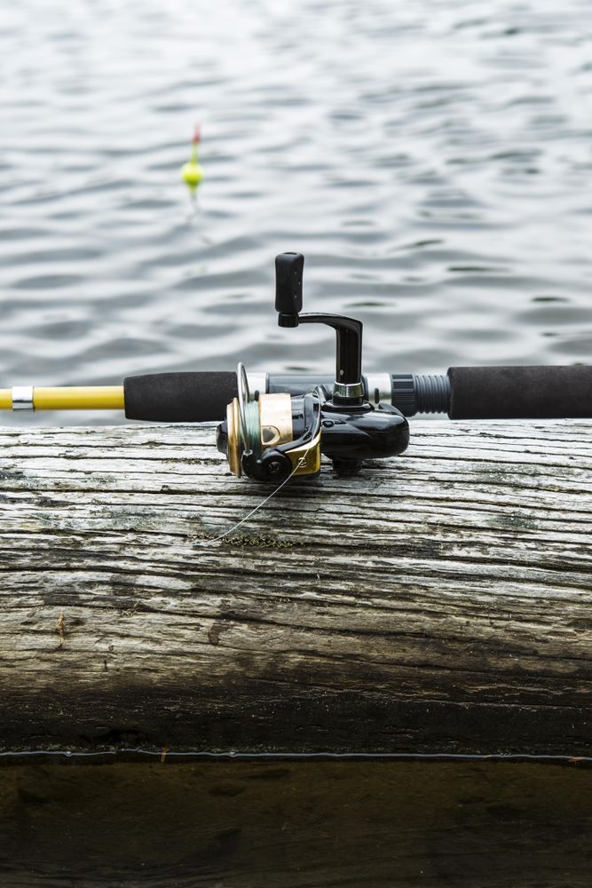 Fishing reel and log on lake