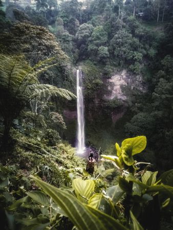 Person standing beside waterfall in forest