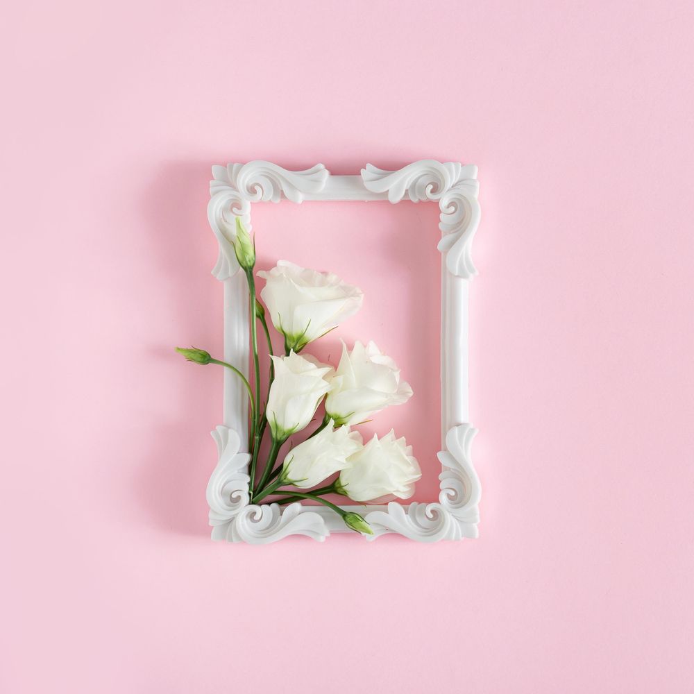 Rose flowers and light  frame