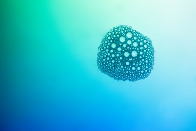 Abstract background bio technology, macro photography foam and water with gradient background. Molecule multicolor backgorund