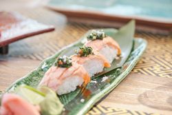 Delicious sake nigiri sushi on plate
