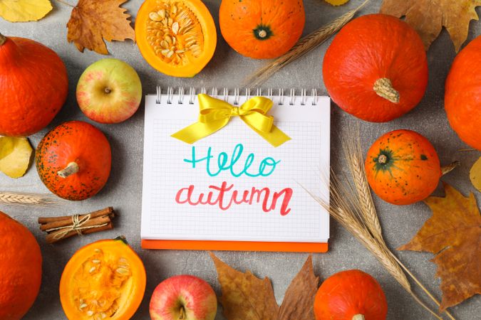 Composition with pumpkins and copybook on grey background, top view