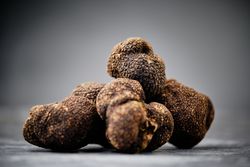 Mushroom Truffles