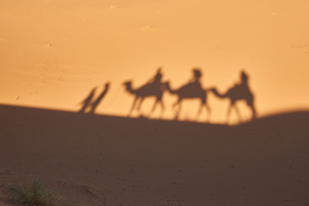Shadow on sand of camels and people