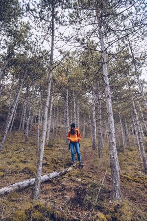 Female tourist walking along fallen tree in forest
