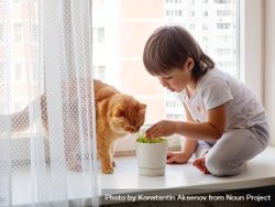 Toddler sits on windowsill and feeds cute ginger cat with green grass from flower pot 4ZEg95
