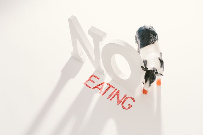 Concept of calling to stop eating animals