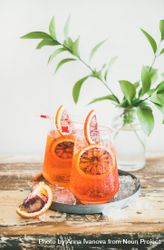 Two glasses of an orange cocktail with orange slices, and leaves in background, vertical composition 42nYe4