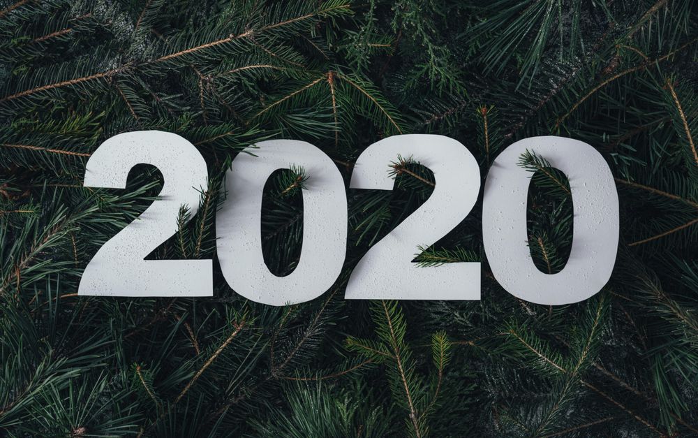“2020” on pine branch background