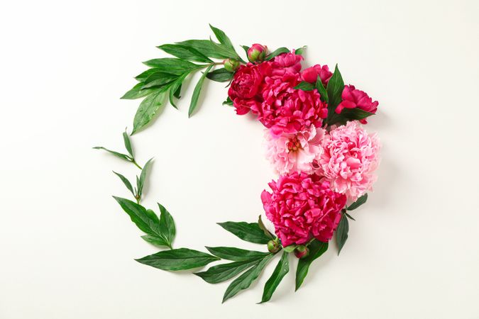 Flat lay composition with beautiful peonies and stately green leaves on light background, space for text