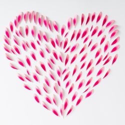 Heart made of pink flower petals