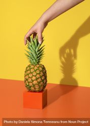 Pineapple minimalist in bright light 4drzL0