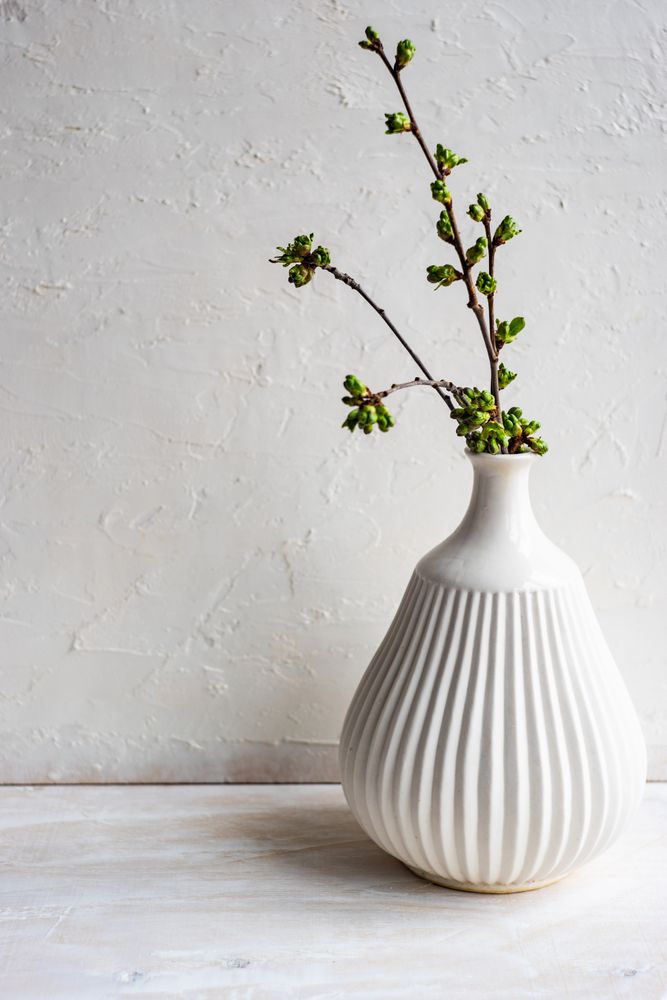 Green branch in vase in studio