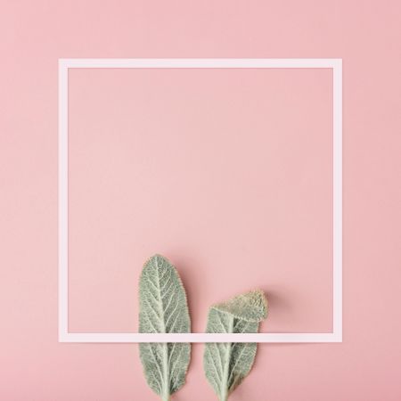 Bunny rabbit ears made of natural green leaves with frame on pastel pink background