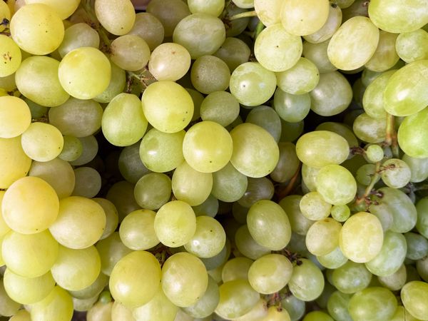 Grapes for sale in market