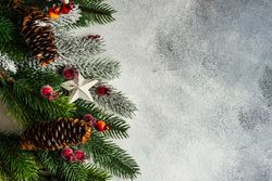 Christmas branch, pine cones, ornaments and holly on grey background