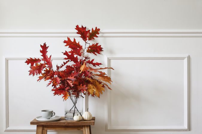 Red oak tree leaves, branches in vase in autumnal home setting