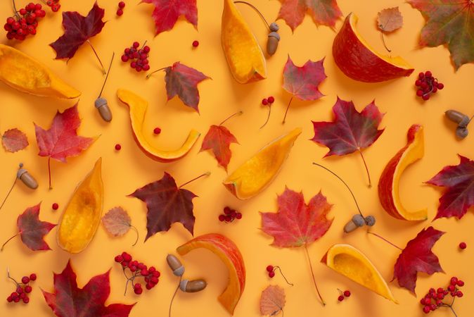 Vibrant autumn pattern with cut pumpkin, maple leaves, rowan and acorns