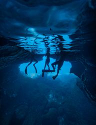 People diving under water