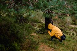 Person in yellow raincoat photographing mushrooms