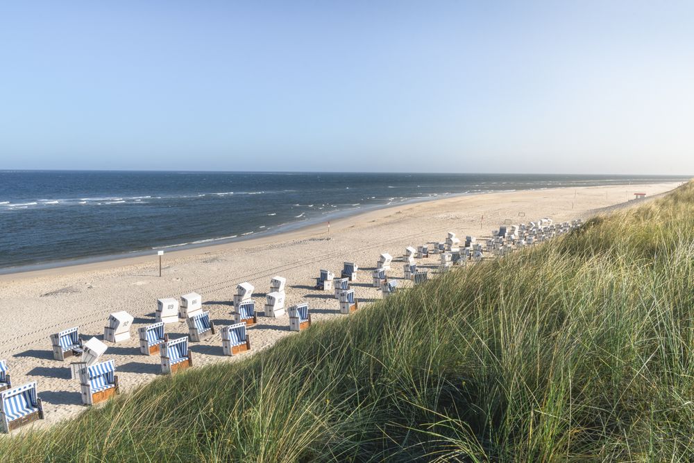 High grass, sand, chairs and sea