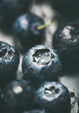 Freshly washed batch of blueberries on grey background, close up