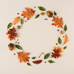 Autumn branches and leaves arranged in festive wreath on light background
