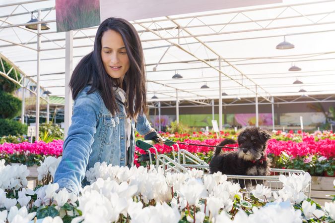 Woman choosing indoor plant in florist shop