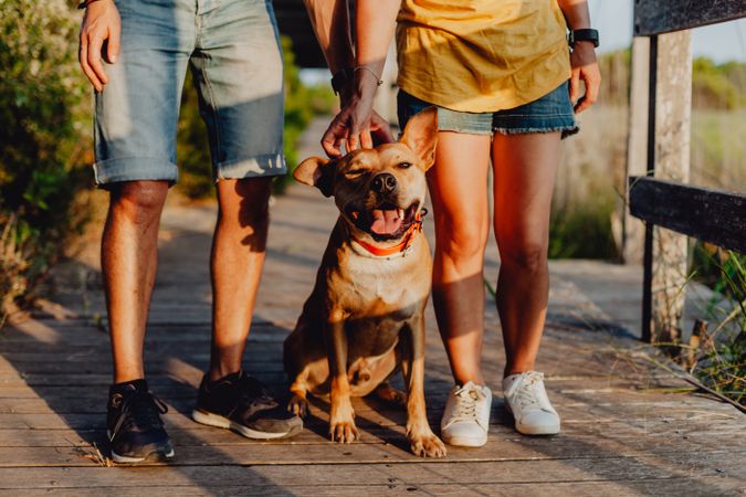 Loving adult couple resting with dog at countryside