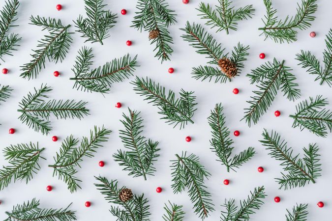 Fir branch pattern on light background with red berries and pine cones