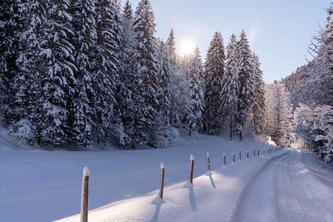 Snow-covered forest road on a beautiful sunny day in the Bavarian Alps, Germany