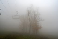 Foggy forest with cable cars