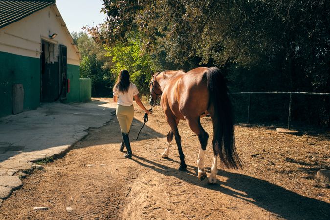 Equestrian leading horse on ranch