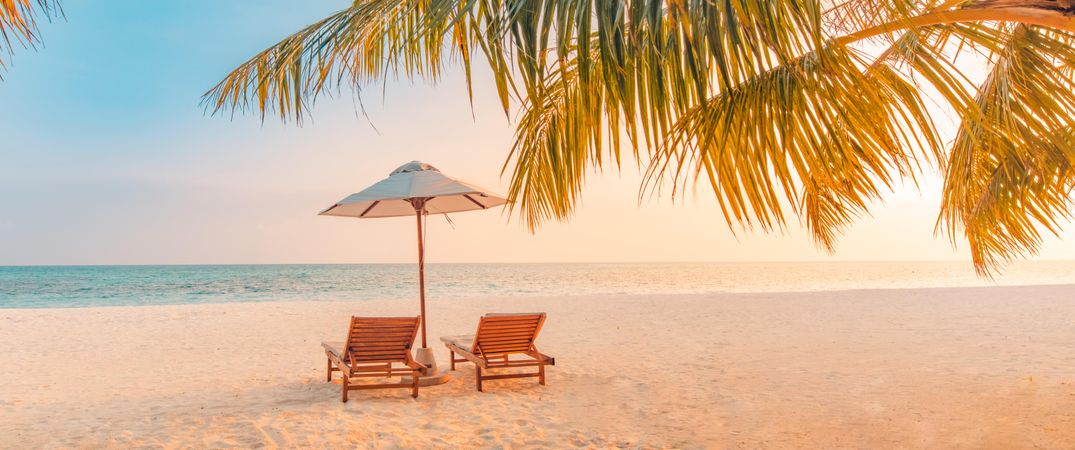 Two reclining chairs framed with a palm tree