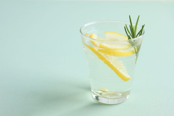 Glass of Gin Tonic with Lemon and Rosemary
