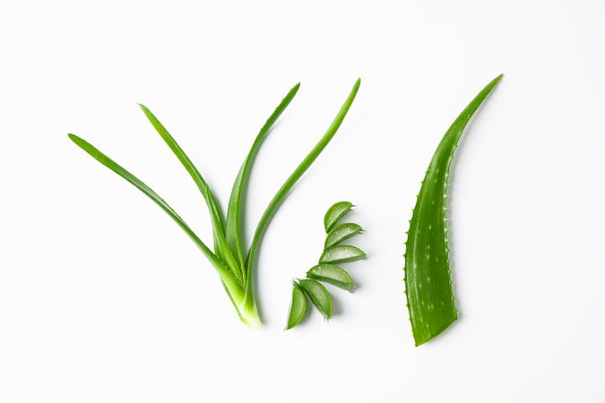 Aloe vera leaves and slices on plain background, space for text. Natural treatment