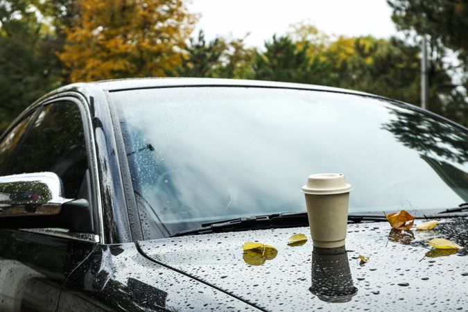 A car on the background of an autumn rainy park with coffee on the hood