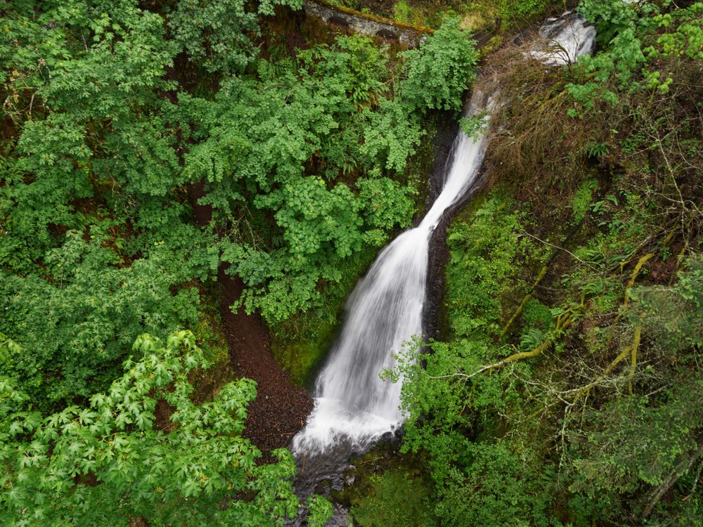 Latourell Falls along the Columbia River Gorge in Multnomah County, Oregon