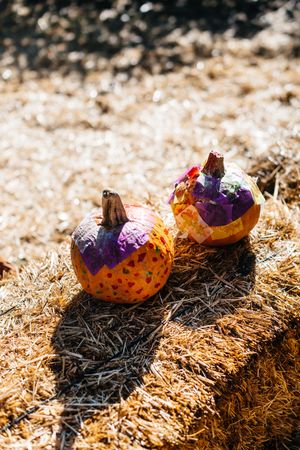 Small pumpkins in dry hay in yard