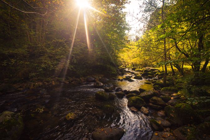 Small river and waterfall flowing in green dark beautiful forest.