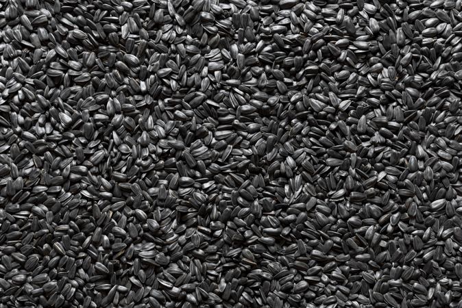 Sunflower seeds background, above view