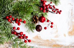 Christmas card concept of holly and tree branch on rustic table