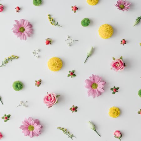 Spring flowers artfully arranged on light background